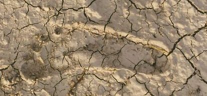 Perspective From The&nbsp;Past