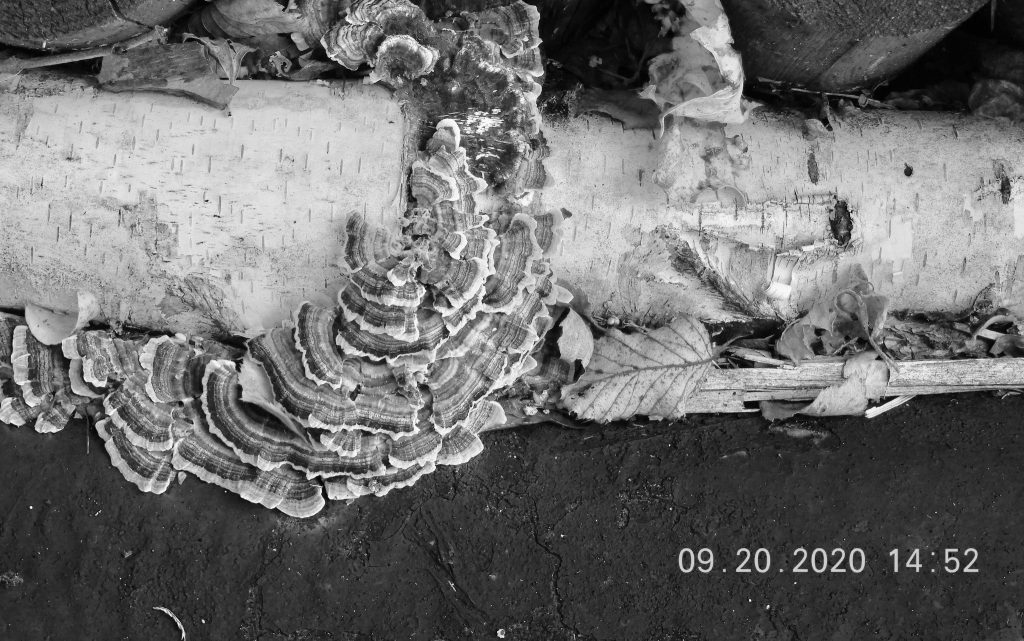 It Started Out Pretty Well Before the&nbsp;Breadcrumbing